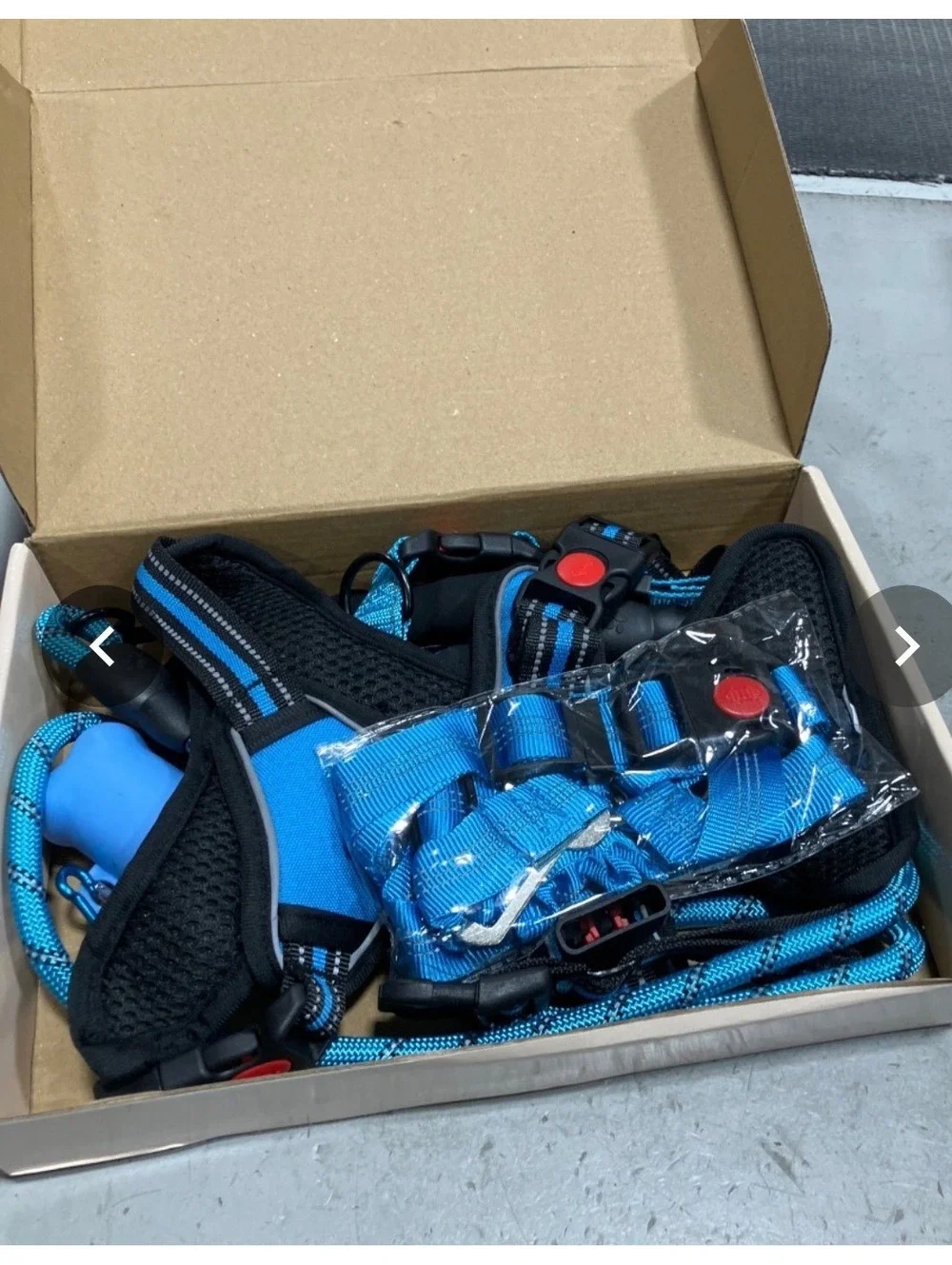 Complete Blue Dog Travel Set with Harness, Leash, Collar, Bowl, and Waste Bag